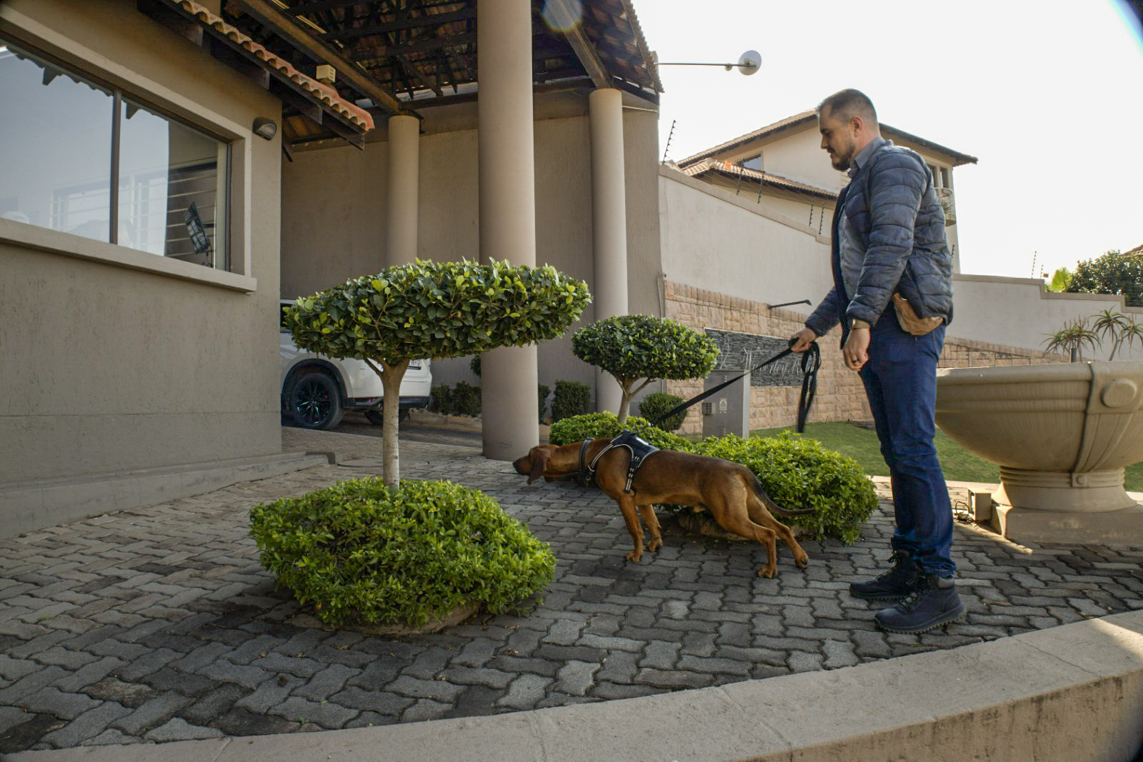 TEN8 K9 handler with tracking dog conducting a residential estate sweep