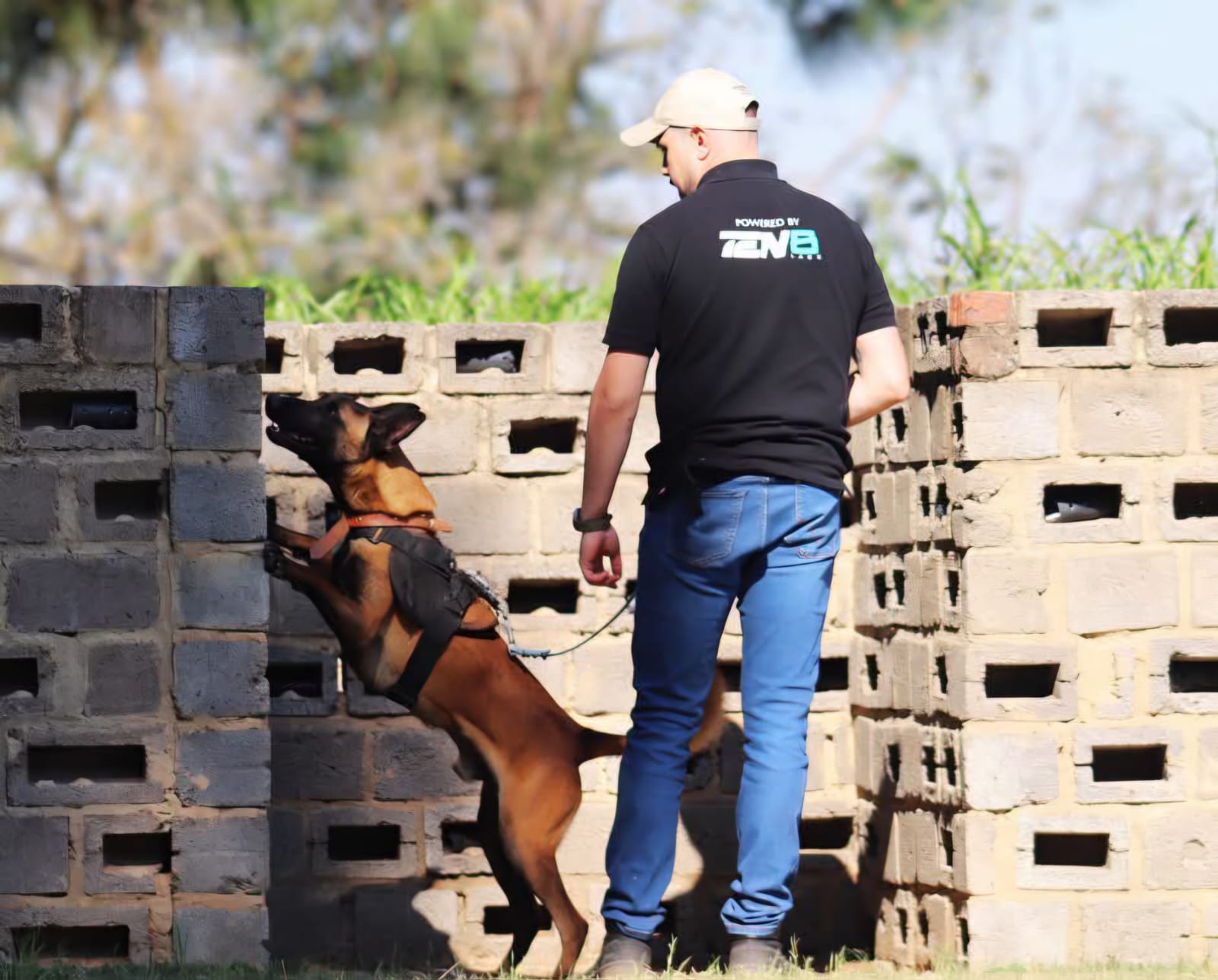 TEN8 K9 handler with detection dog at a training wall